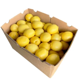 Lemons (Full Case)