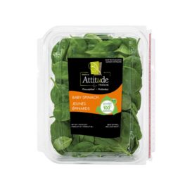 Baby Spinach - Fresh Attitude Salads (142 g)