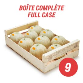 Cantaloupes (full case