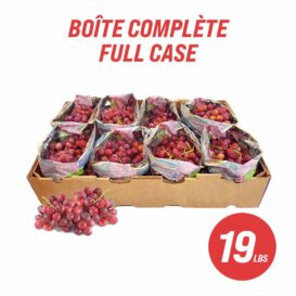 Red Seedless Grapes (full case