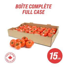 Hothouse Tomatoes (full case