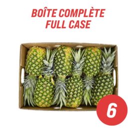 pineapples full case 6