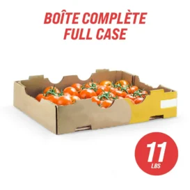 vine tomato case marche ctfo